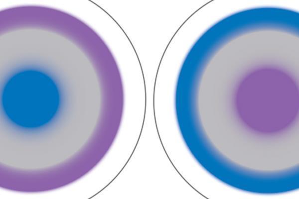 Biofinity Multifocal Coopervision Belgium